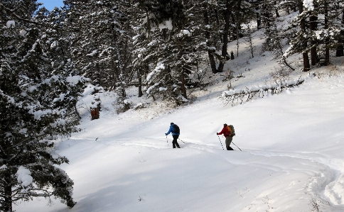 Foto Alas kaki salju musim dingin ski