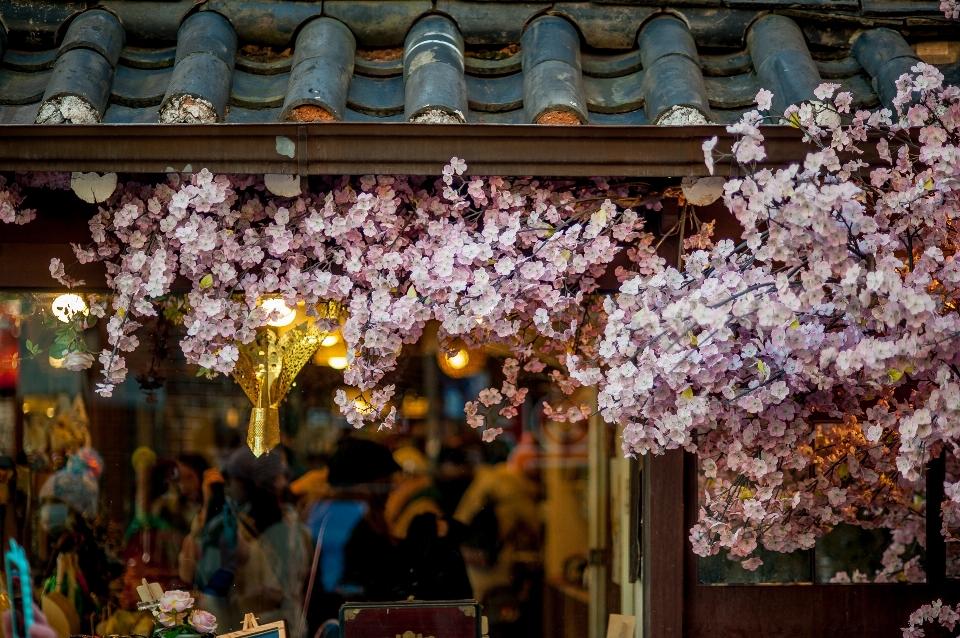 Flower crowd city spring