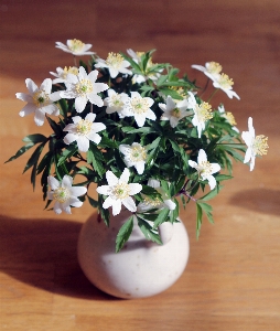 Flower arranging bouquet plant Photo