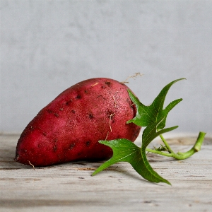 食べ物 赤 生産 植物 写真