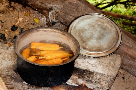 Corn on the cob cooking pot campfire boiling water Photo