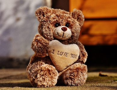 Teddy love bear plush Photo