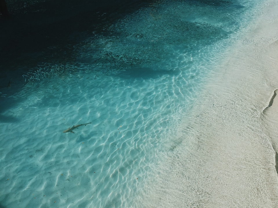 Blu oceano mare onda