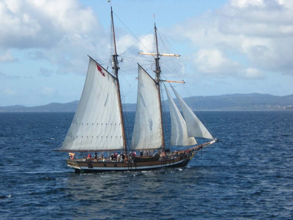 Bateau à voile
 véhicule grand voilier
