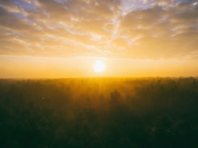 Foto Céu natureza nascer do sol fenômeno atmosférico
