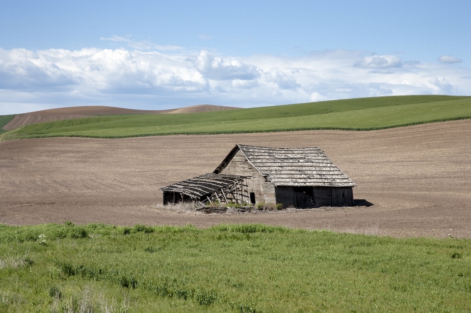 Barn field wood farm