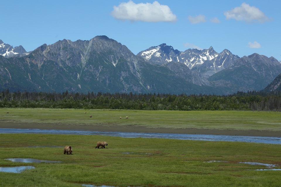 高地 山地地貌 栖息地 山