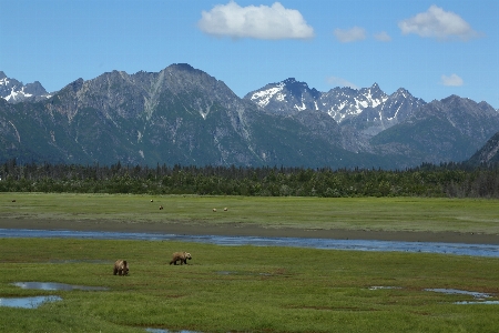 Highland mountainous landforms habitat mountain Photo