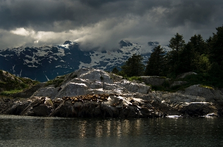 Highland mountainous landforms mountain nature Photo