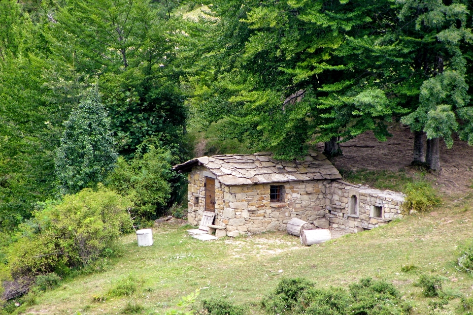 Candle house rustico forest stone