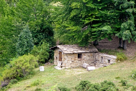 Candle house rustico forest stone Photo