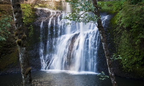 Waterfall water landscape forest Photo