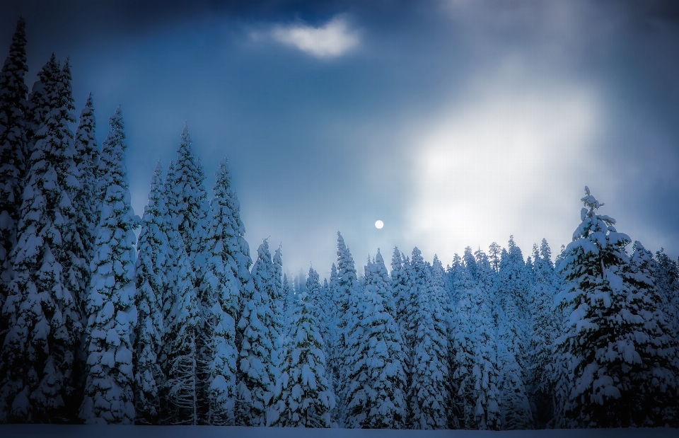 Cielo nevicare inverno natura