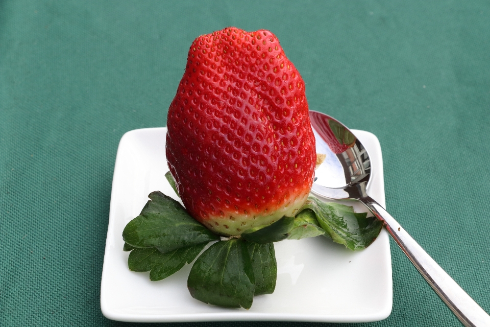 草莓 食物 水果 植物