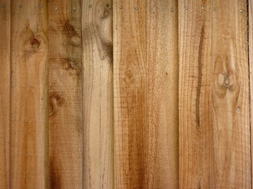 Wooden fence wood