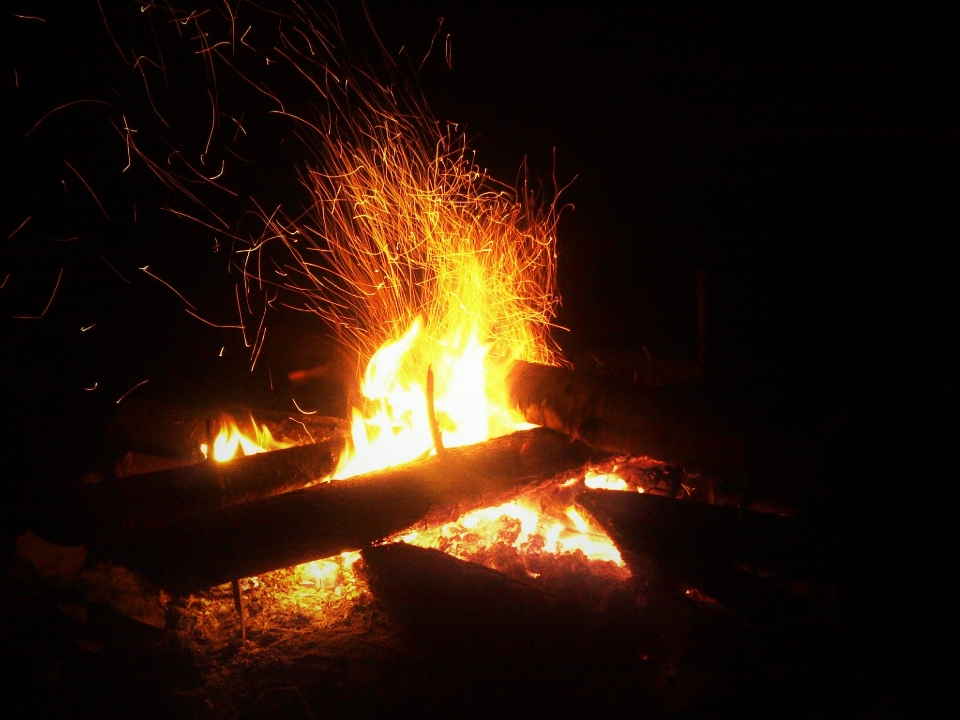 Ein ausbruch von
 feuer wald die flamme
