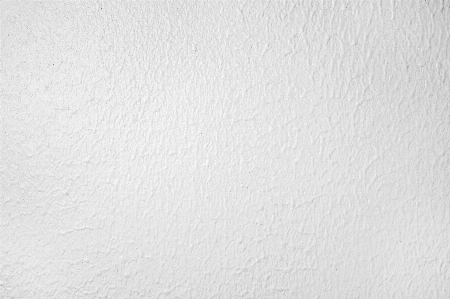 White texture paint wallpaper Photo