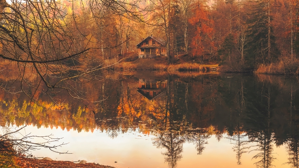 Habitat
 riflessione natura selvaggia
