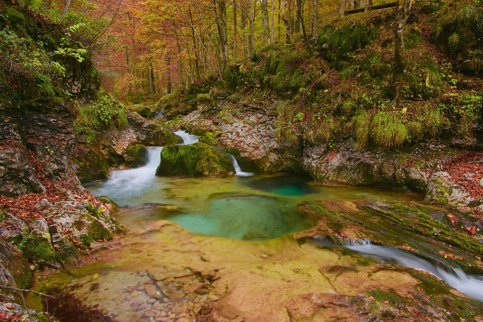 Reserva natural
 stream relevo
 região selvagem
