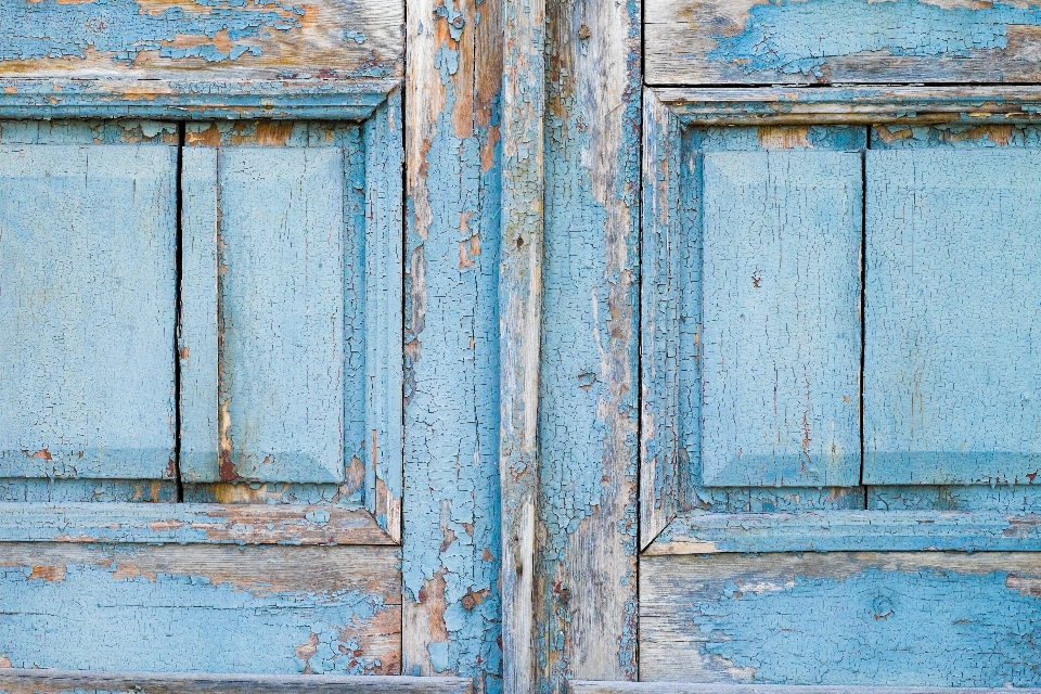 Old door tree wooden background wood