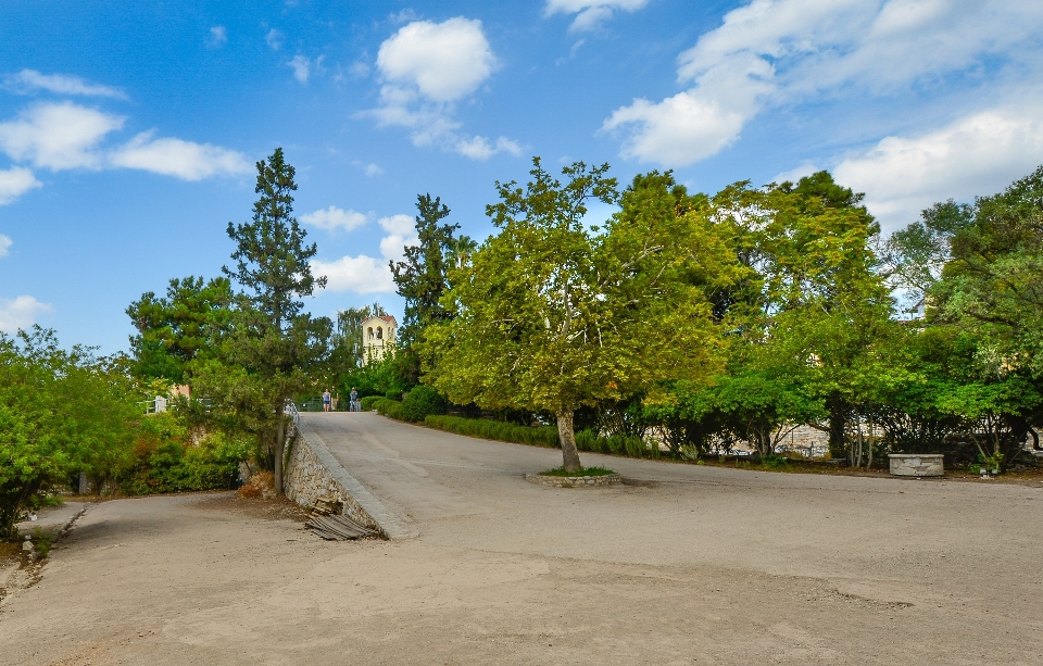 Nature arbre route usine