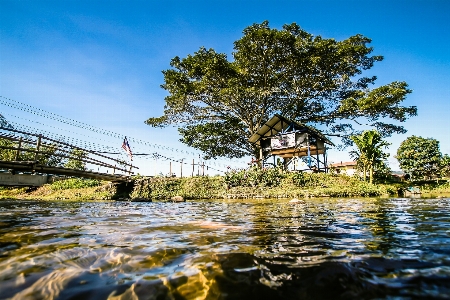 Photo Rivière vert arbre bleu