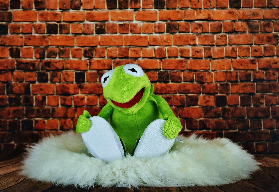 Kermit frog funny soft toy