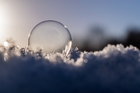 Landscape water nature snow Photo