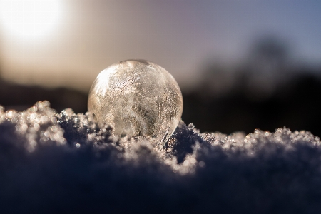 Landscape nature snow cold Photo