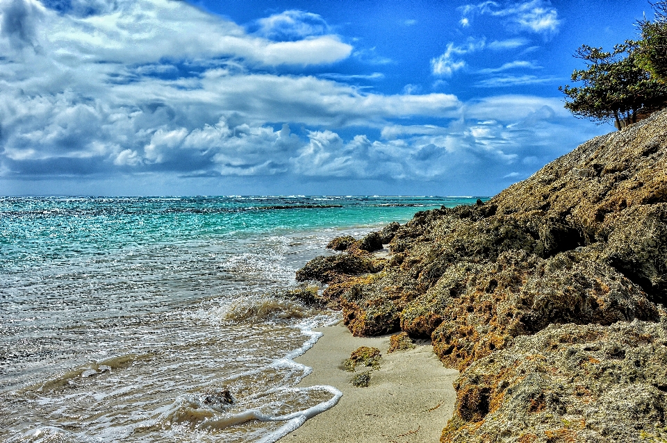 Plage paysage mer côte