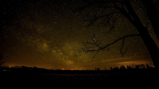 Landscape tree nature horizon Photo