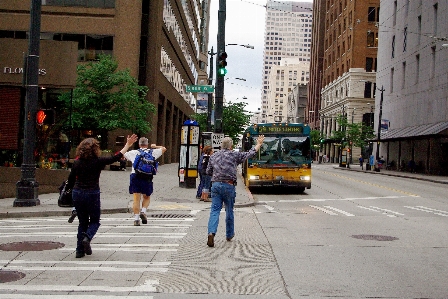 Tree pedestrian walking road Photo