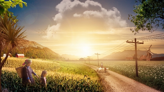 風景 自然 草 地平線 写真