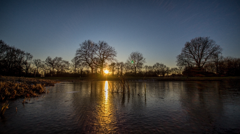 Paysage arbre eau nature