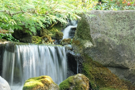 Foto Paesaggio albero acqua natura