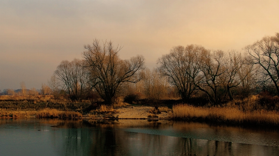 Landschaft baum wasser horizont