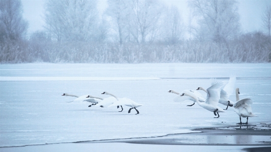 Landscape water snow cold Photo