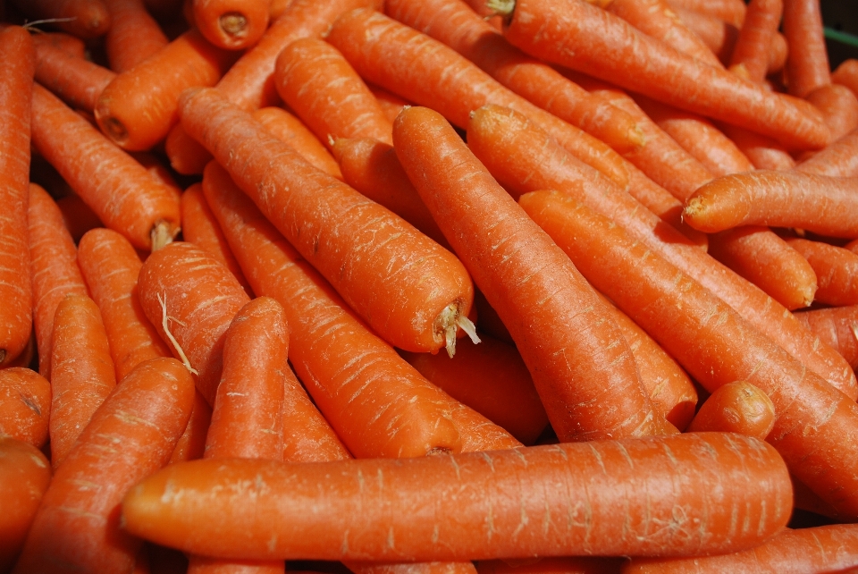 Orange nourriture produire légume