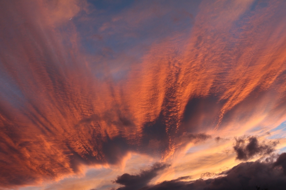 Paisaje naturaleza horizonte nube