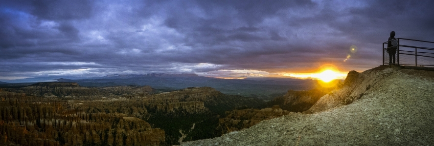 風景 木 rock 地平線 写真