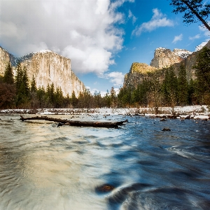 Landscape tree water nature Photo