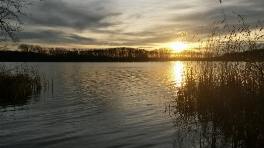 Landscape tree water nature Photo