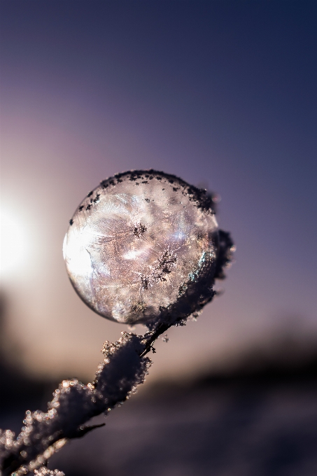 景观 水 自然 雪