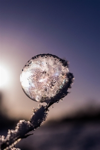 Landscape water nature snow Photo