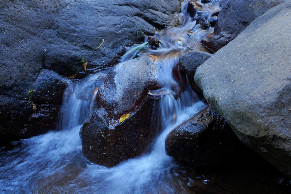 пейзаж дерево вода природа