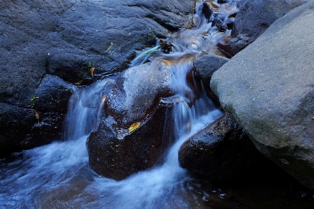 Landscape tree water nature Photo