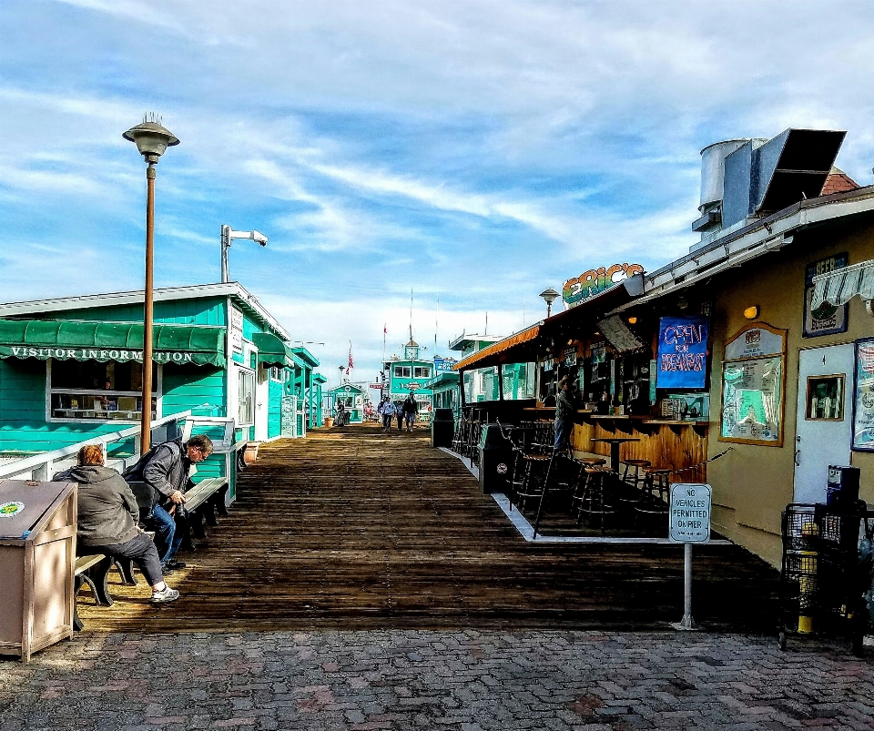 Plaża morze wybrzeże drzewo