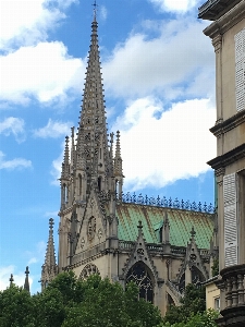 Foto árbol cielo edificio europa