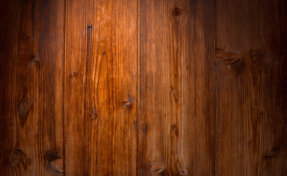 Nature structure wood grain