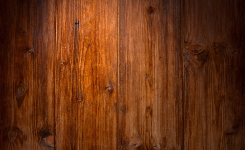 Nature structure wood grain Photo